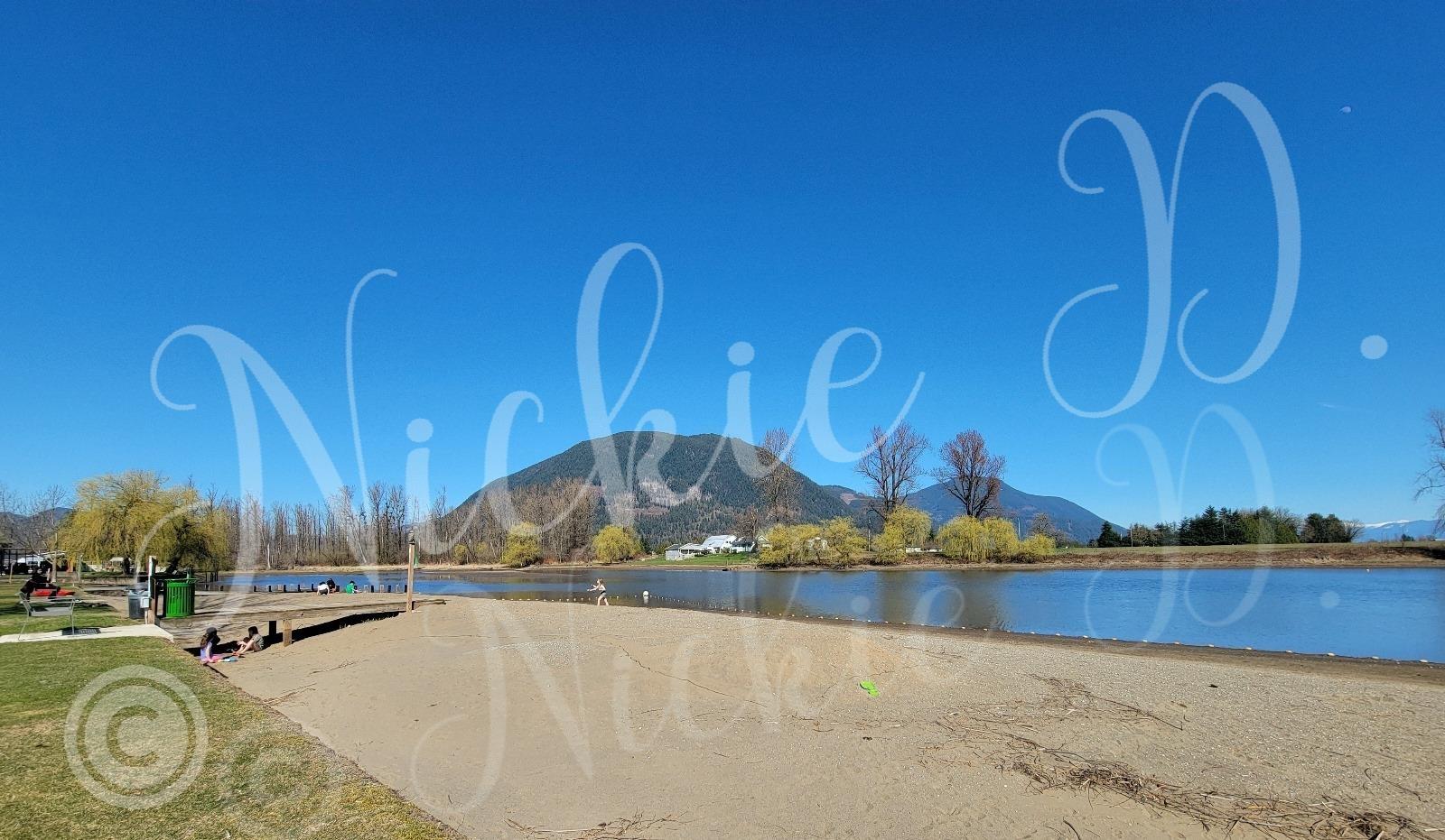 297 8400 Shook Road, Mission, British Columbia  V2V 7L3 - Photo 5 - R3014819