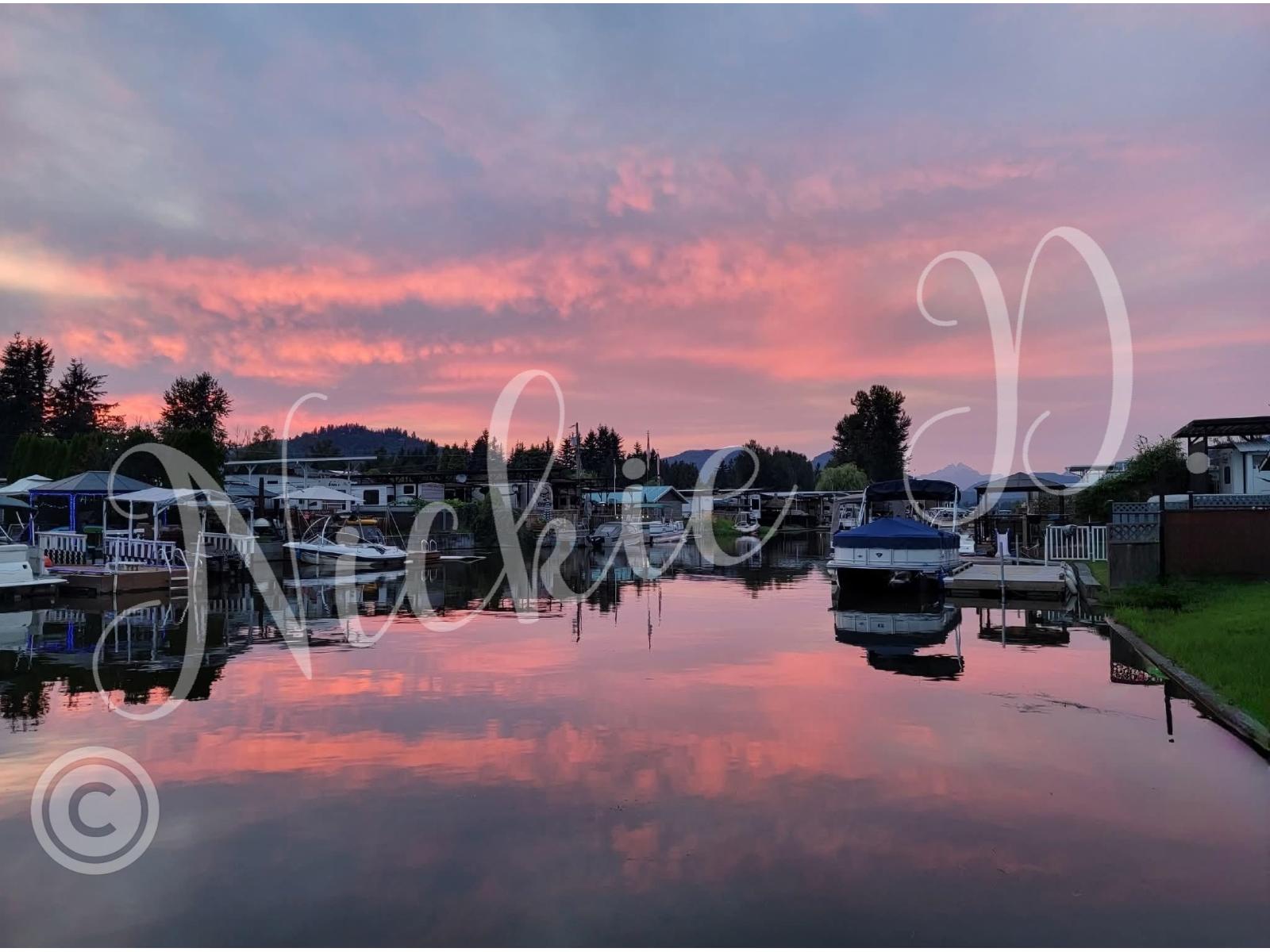 297 8400 Shook Road, Mission, British Columbia  V2V 7L3 - Photo 4 - R3014819