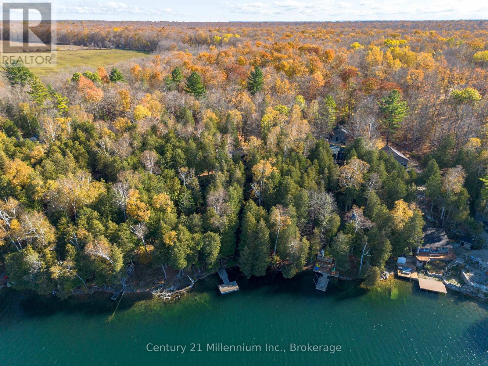 117 Sutherland Road, Georgian Bluffs, Ontario  N0H 2T0 - Photo 16 - X13064412