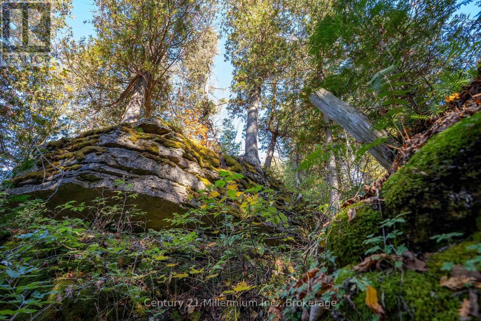 117 Sutherland Road, Georgian Bluffs, Ontario  N0H 2T0 - Photo 22 - X13064412