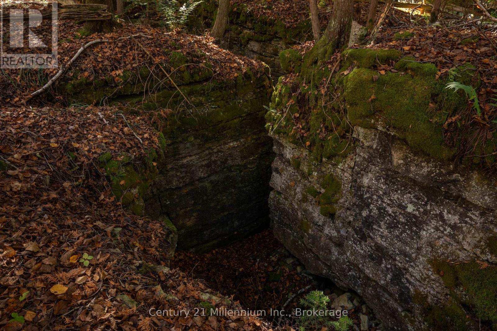117 Sutherland Road, Georgian Bluffs, Ontario  N0H 2T0 - Photo 24 - X13064412