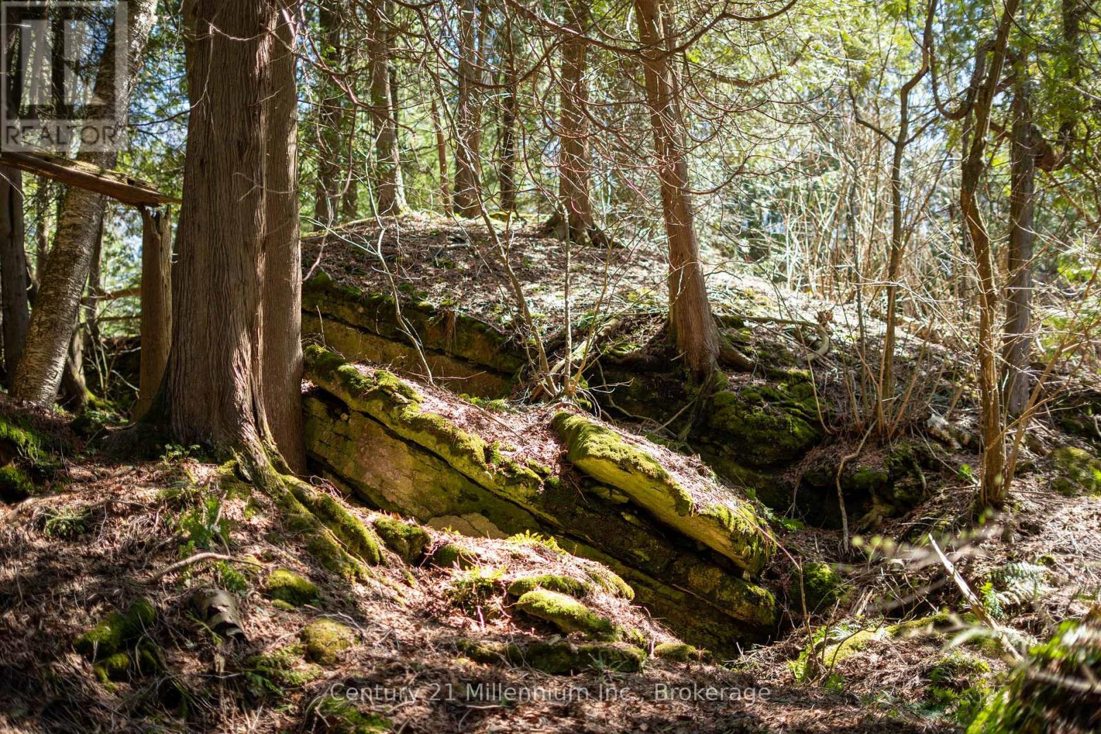 117 Sutherland Road, Georgian Bluffs, Ontario  N0H 2T0 - Photo 25 - X13064412