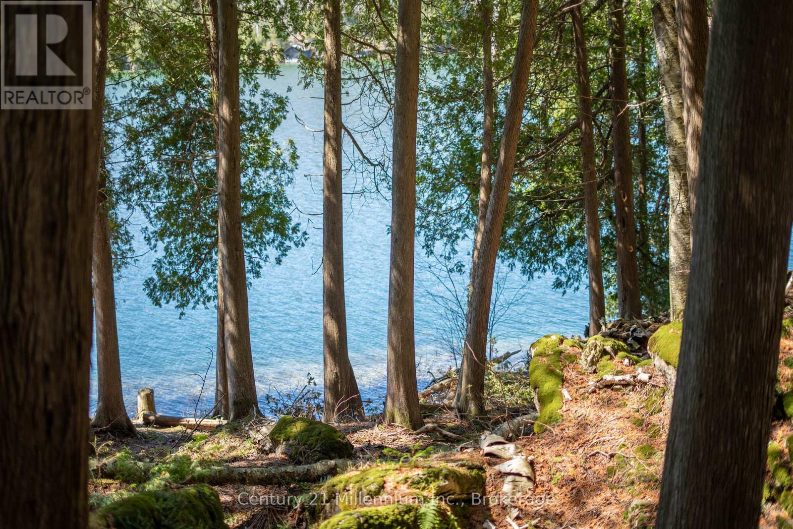 117 Sutherland Road, Georgian Bluffs, Ontario  N0H 2T0 - Photo 26 - X13064412