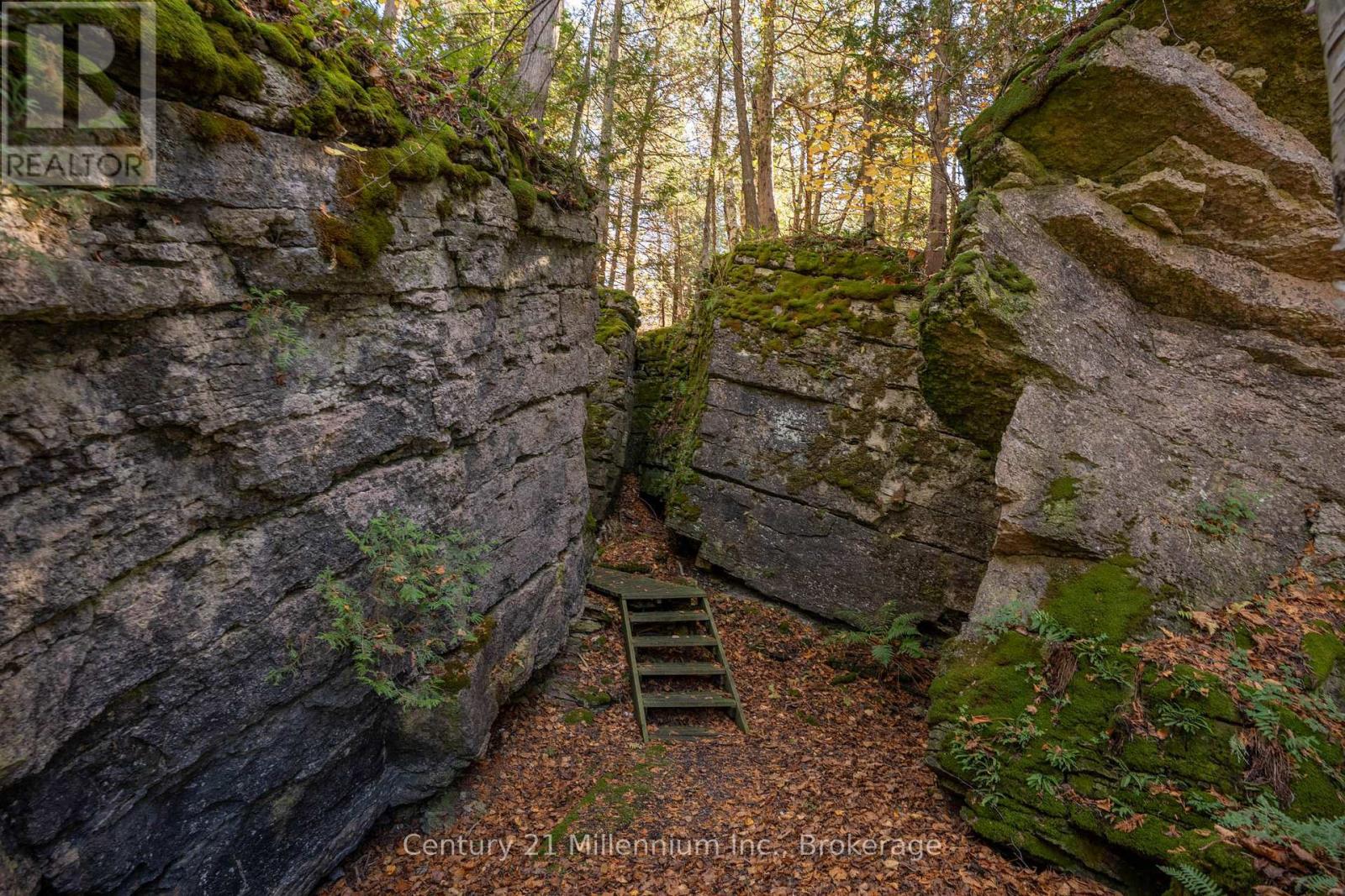 117 Sutherland Road, Georgian Bluffs, Ontario  N0H 2T0 - Photo 49 - X13064412