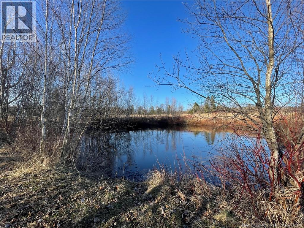 21 Joseph Lane, Lewis Mountain, New Brunswick  E4J 3N1 - Photo 31 - NB138078