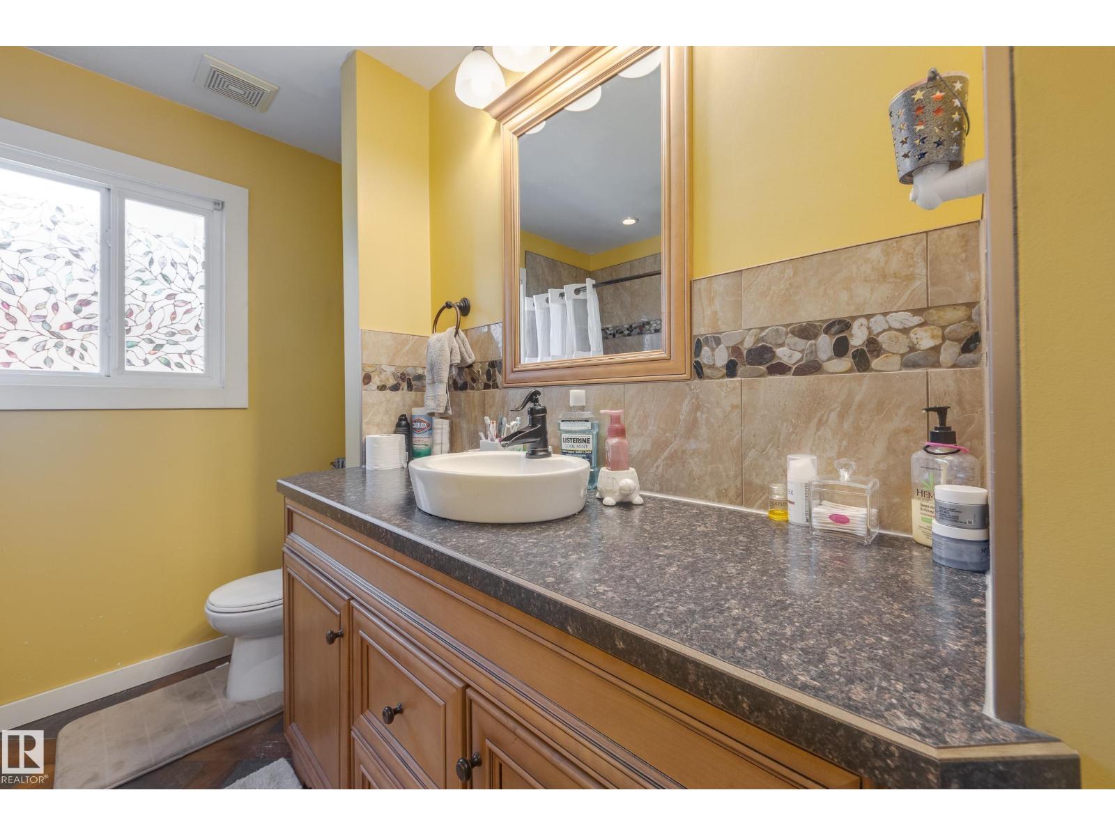 10462 159 St Nw, Edmonton, Alberta  T5P 3A7 - Photo 13 - E4484948