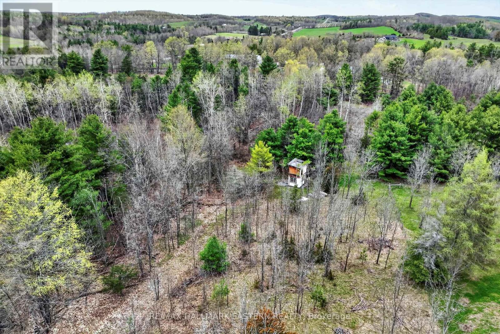 22 Winter Road, Trent Hills, Ontario  K0K 3K0 - Photo 2 - X13062014