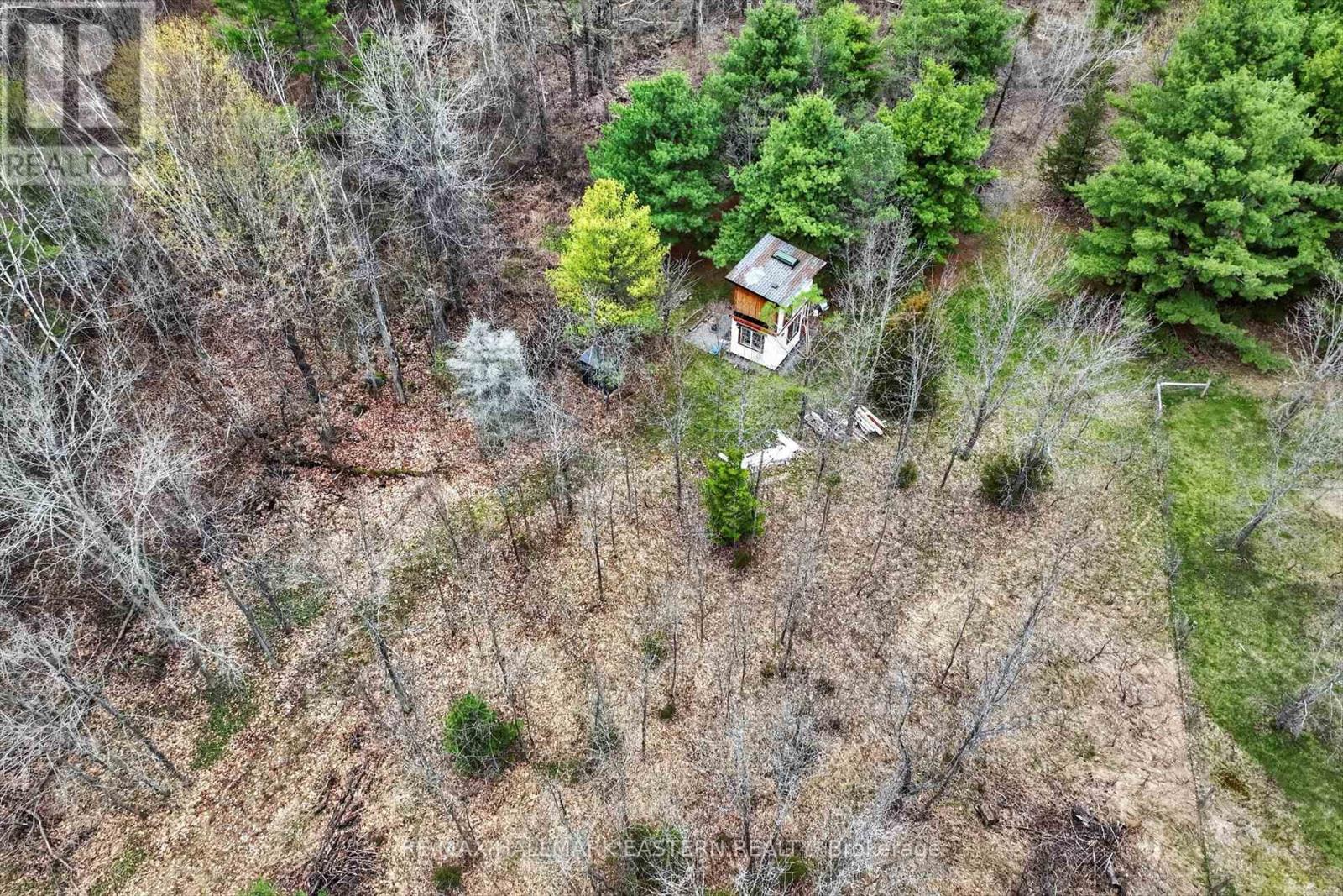 22 Winter Road, Trent Hills, Ontario  K0K 3K0 - Photo 25 - X13062014