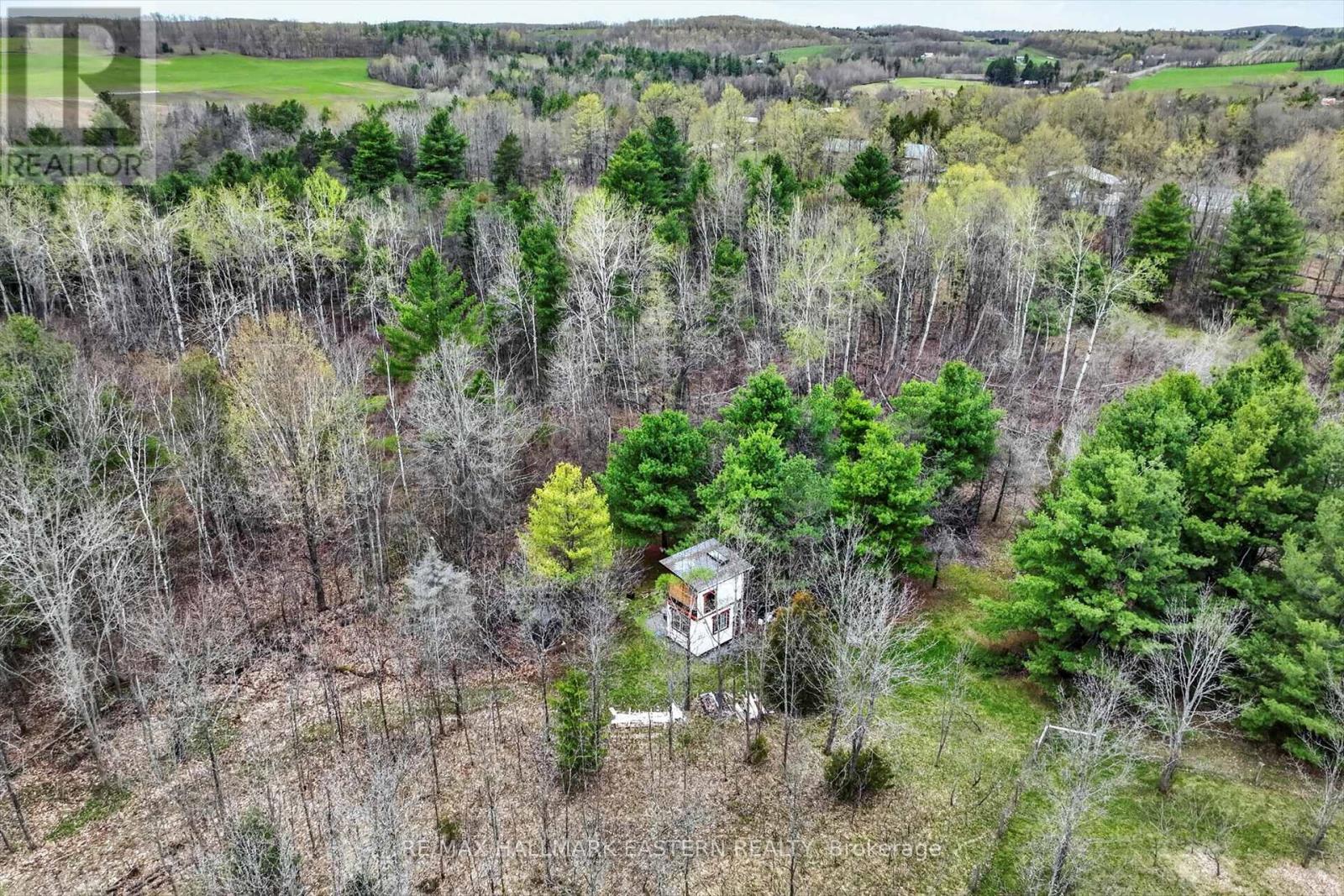 22 Winter Road, Trent Hills, Ontario  K0K 3K0 - Photo 29 - X13062014