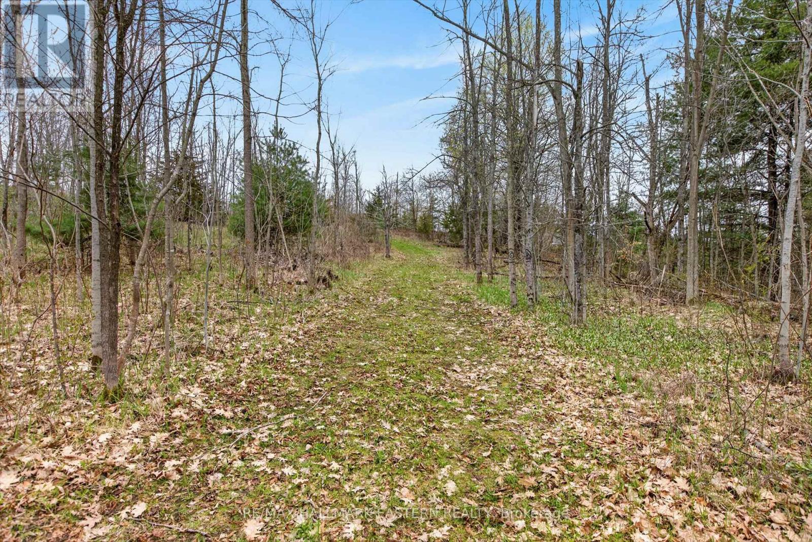 22 Winter Road, Trent Hills, Ontario  K0K 3K0 - Photo 4 - X13062014