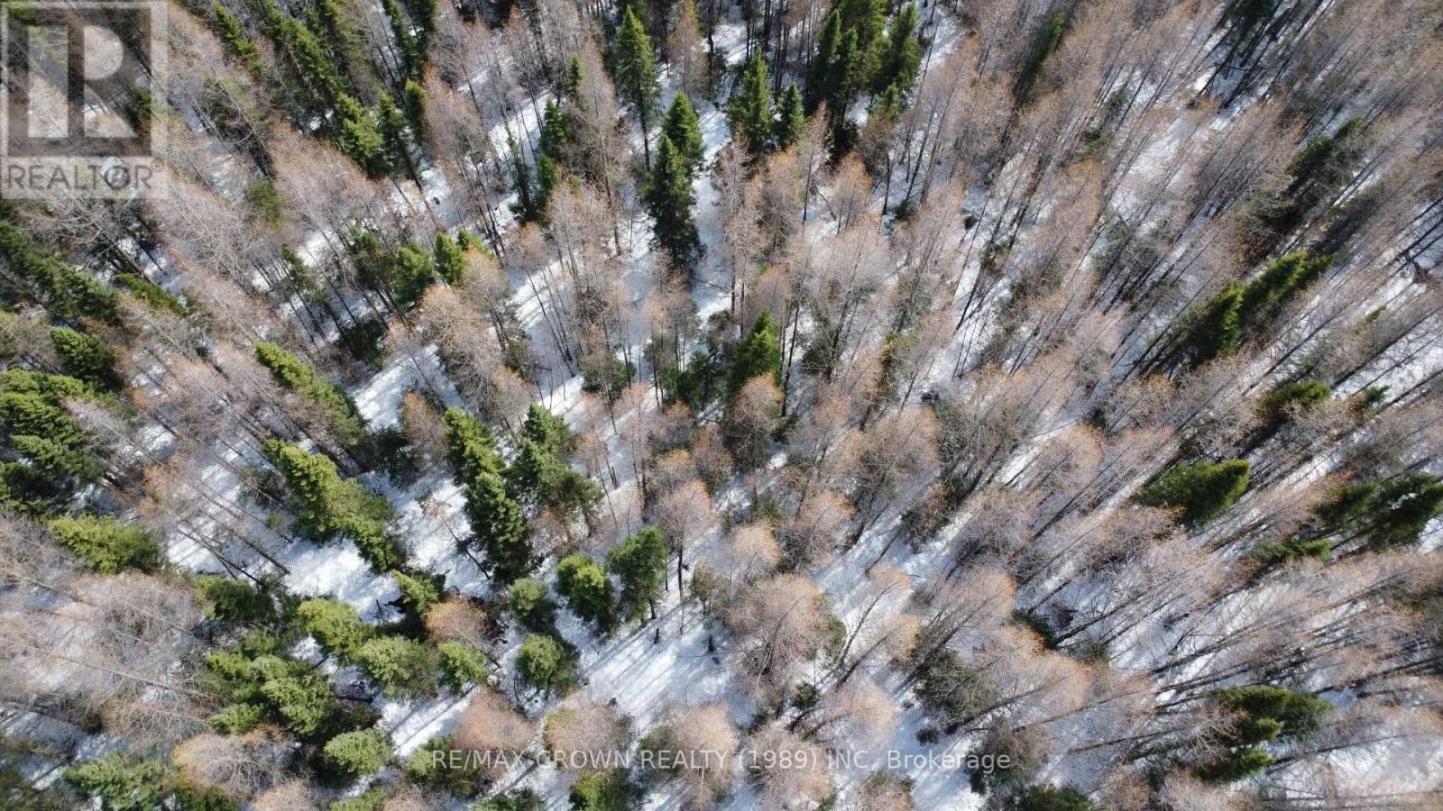 Lot 21 Concession 6 Concession, Mattice-Val Cote, Ontario  P0L 2E0 - Photo 10 - T13064524