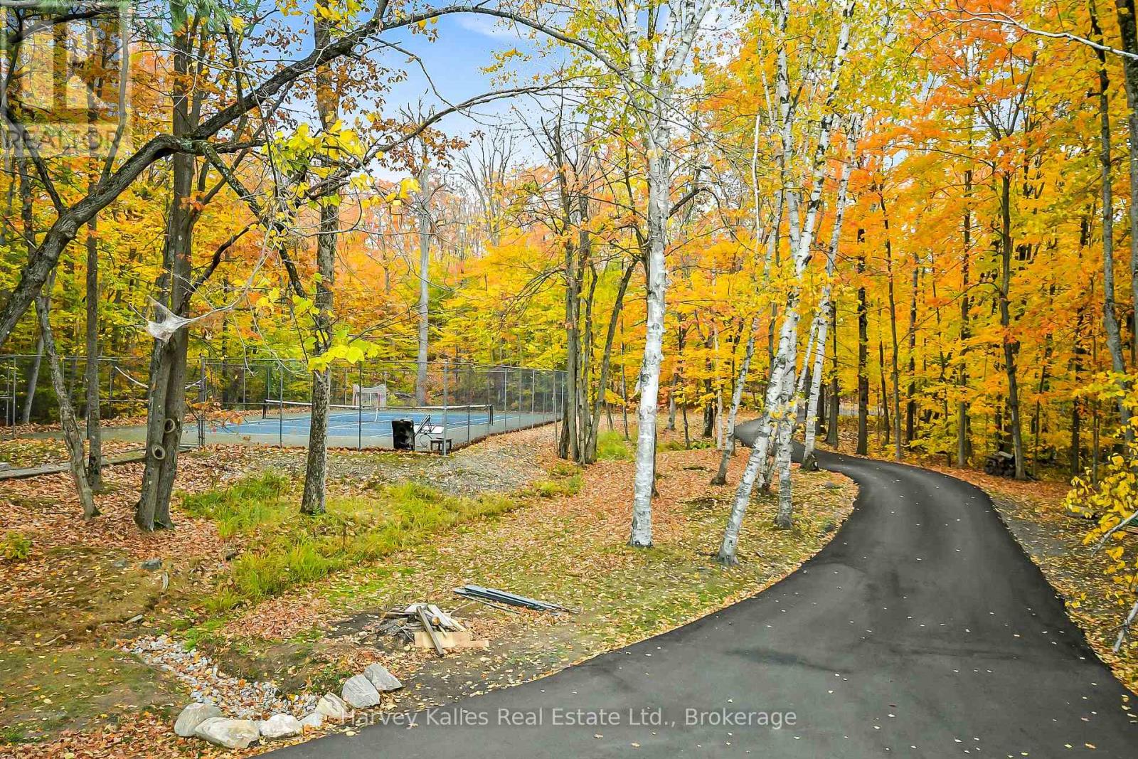 1099 Big Joe Road, Muskoka Lakes, Ontario  P0B 1J0 - Photo 4 - X13064568