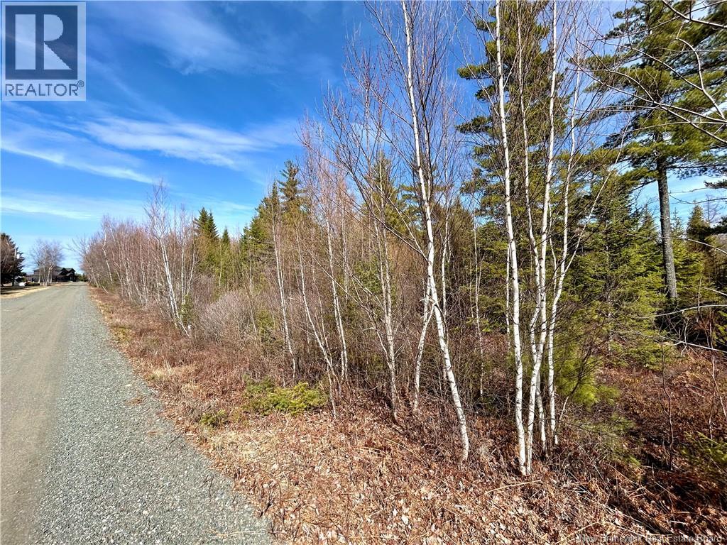 Lot 11-55 Tucker's Point Lane, Bay Du Vin, New Brunswick  E1N 6N6 - Photo 3 - NB137005