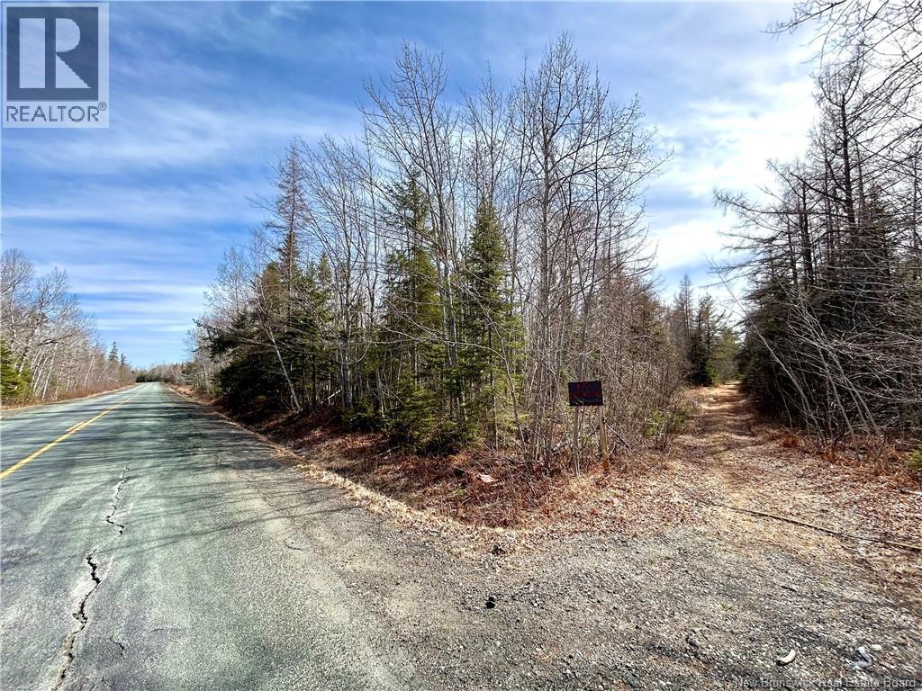 53.1 Acres Route 117, Napan, New Brunswick  E1N 4Y7 - Photo 2 - NB138362