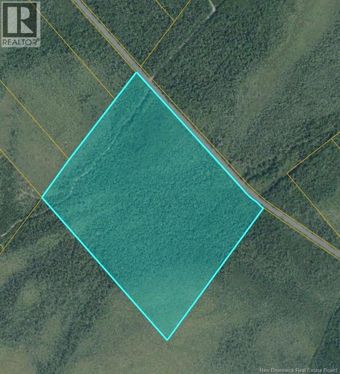 53.1 Acres Route 117, Napan, New Brunswick  E1N 4Y7 - Photo 4 - NB138362