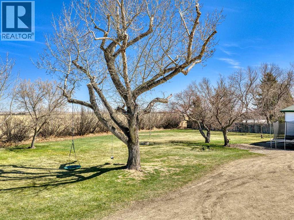 40 2 Street W, Arrowwood, Alberta  T0L 2B0 - Photo 8 - A2302639