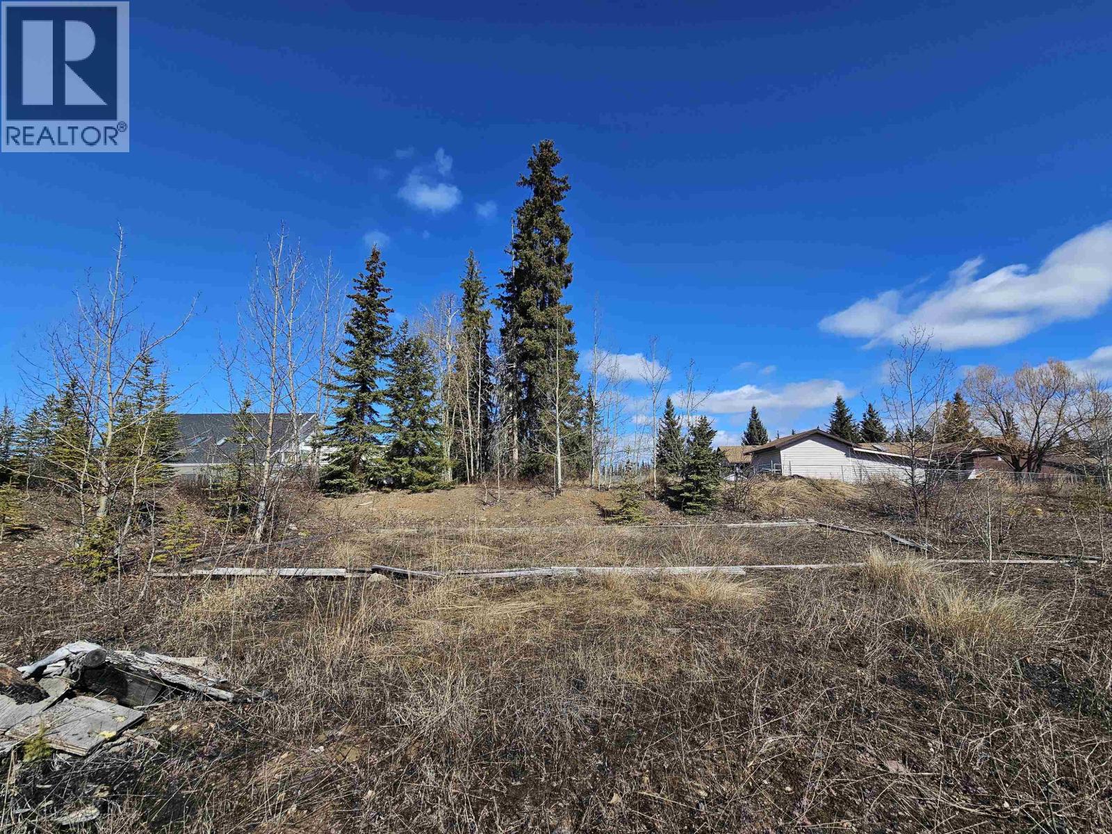 615 Casimir Avenue, Burns Lake, British Columbia  V0J 1E0 - Photo 11 - R3117676