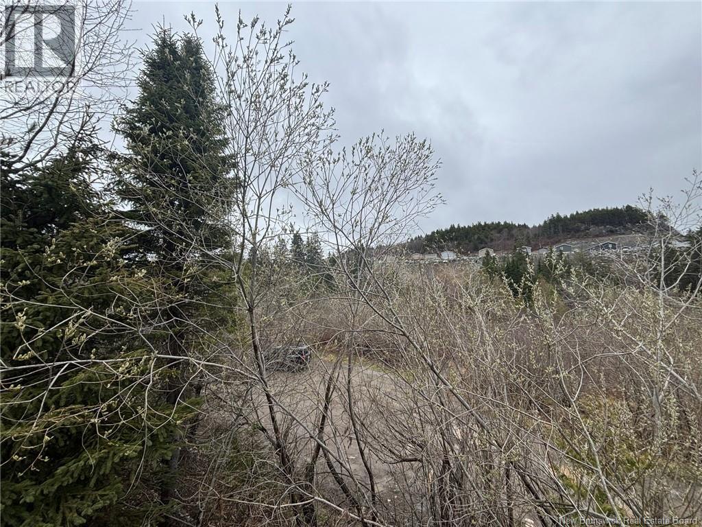 321 Glen Road, Saint John, New Brunswick  E2H 2E8 - Photo 6 - NB134988