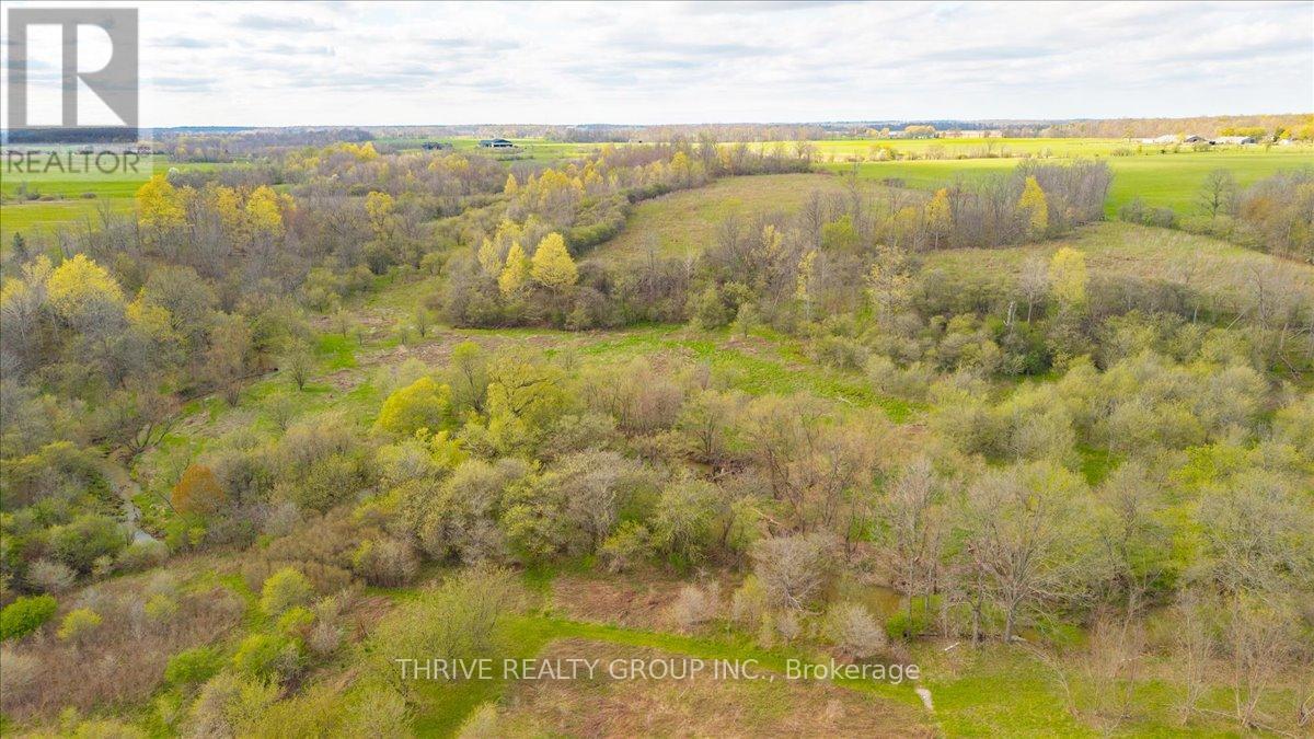 24992 Crinan Line, West Elgin, Ontario  N0L 2P0 - Photo 50 - X13065002