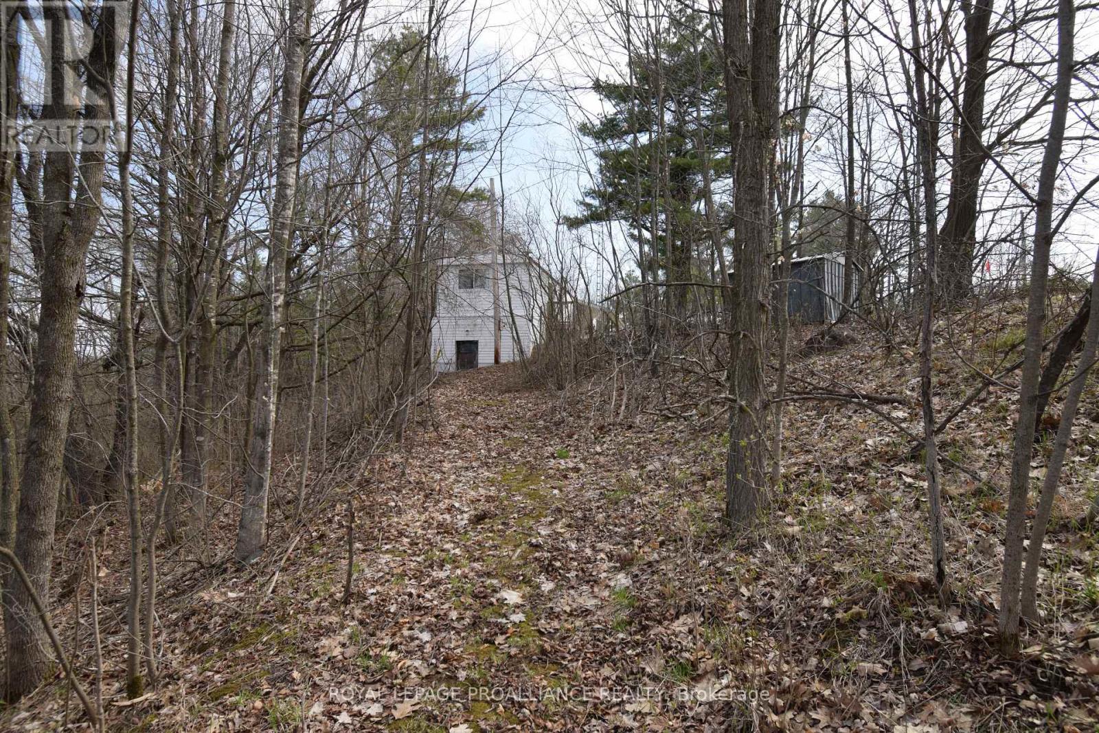 1177 Tuftsville Road, Quinte West, Ontario  K0K 3E0 - Photo 7 - X13063968