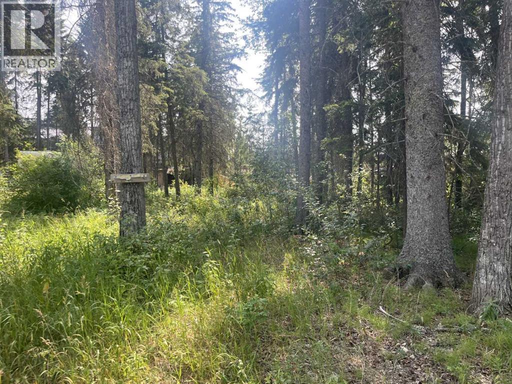 Lot 804 Brightsand Crescent, Brightsand Lake, Saskatchewan  S0M 0H0 - Photo 3 - A2299285