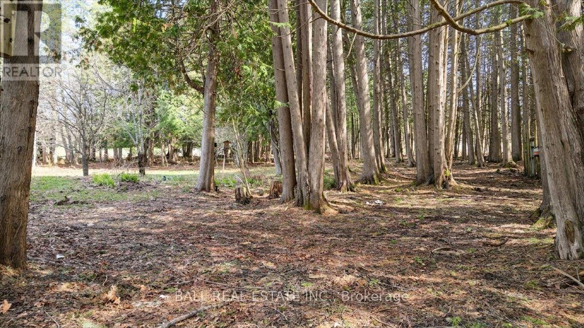1893 Clydesdale Road, North Kawartha, Ontario  K0L 1A0 - Photo 36 - X13065184