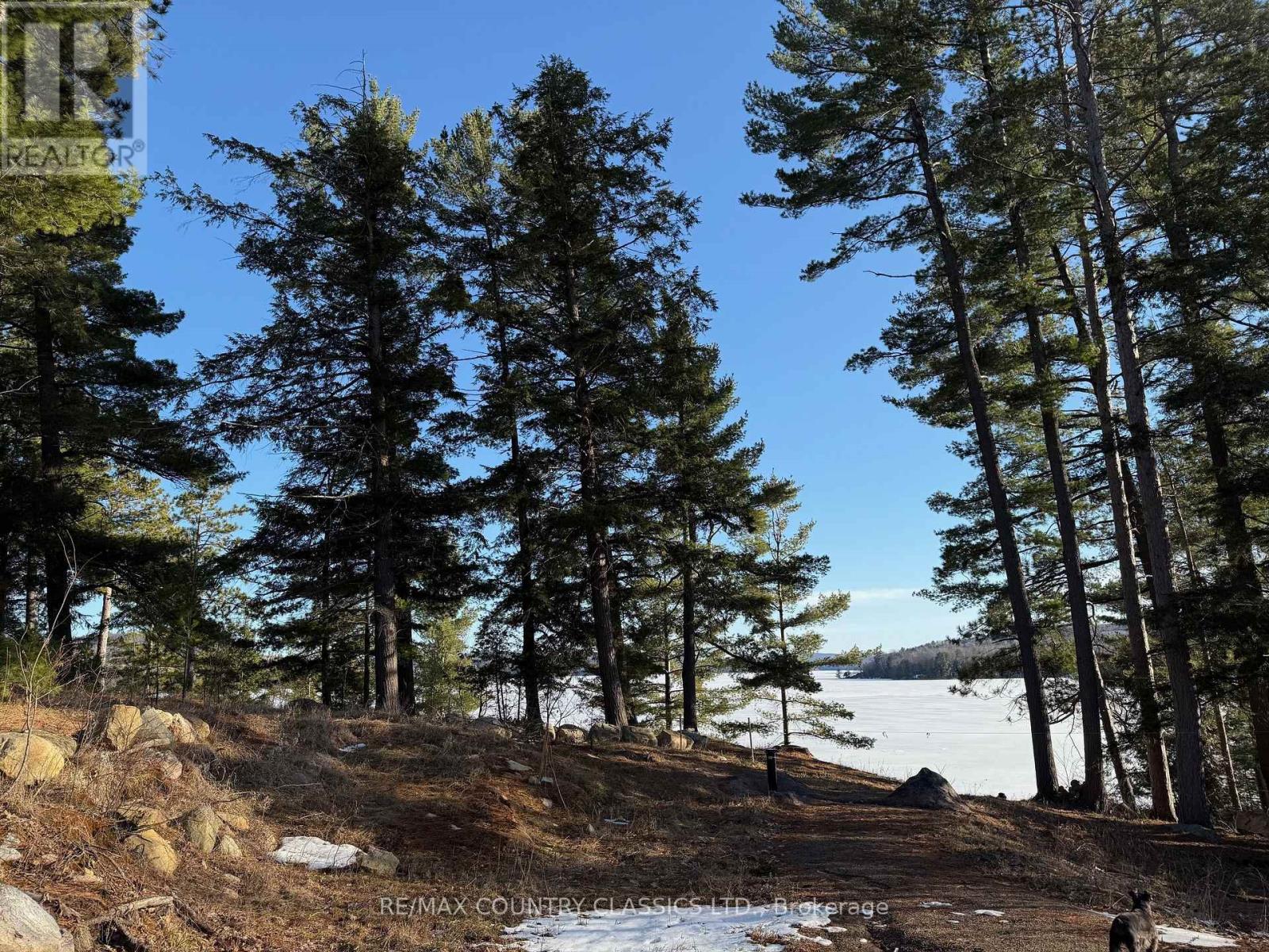 272 Mask Island Drive S, Madawaska Valley, Ontario  K0J 1B0 - Photo 11 - X13065354