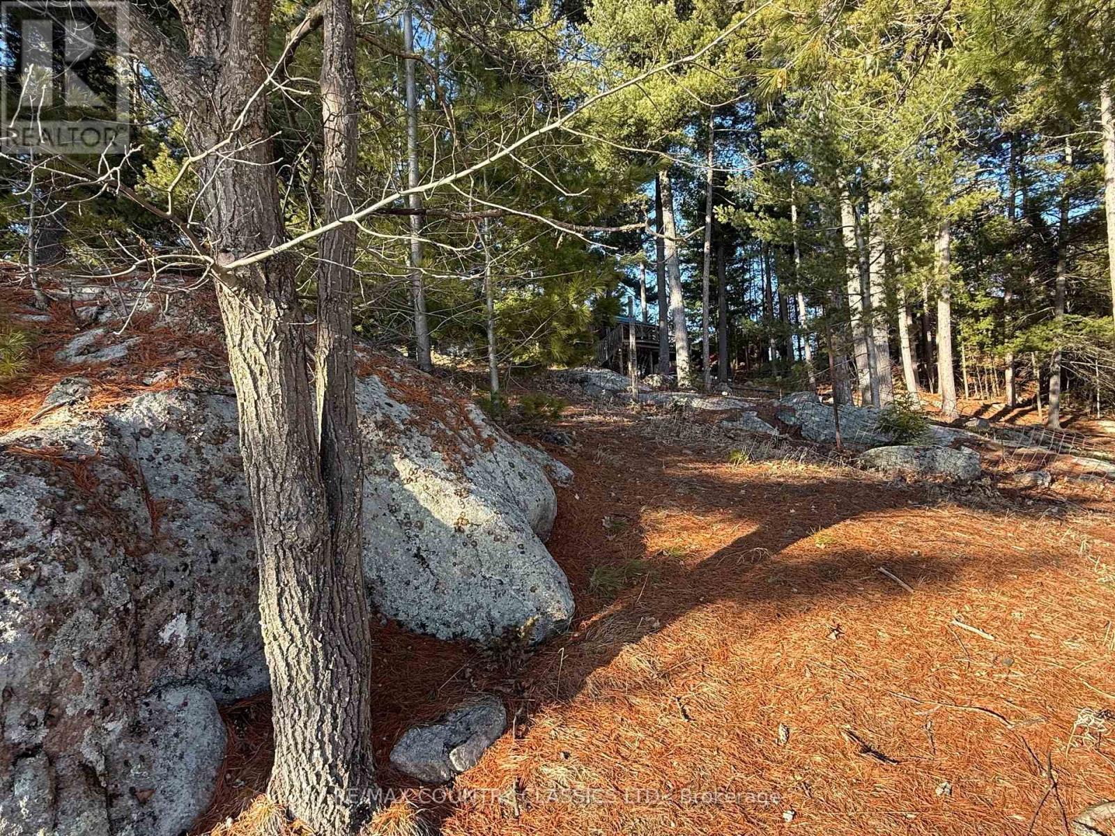 272 Mask Island Drive S, Madawaska Valley, Ontario  K0J 1B0 - Photo 16 - X13065354