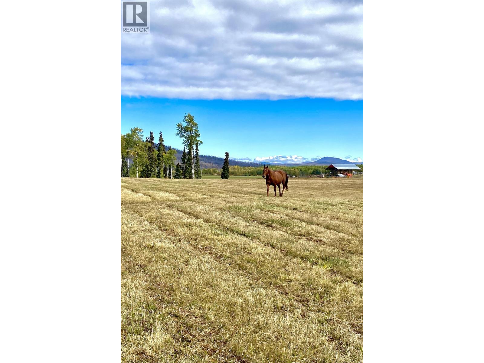 2631 Johnson Road, Fraser Lake, British Columbia  V0J 1S0 - Photo 22 - R3118048