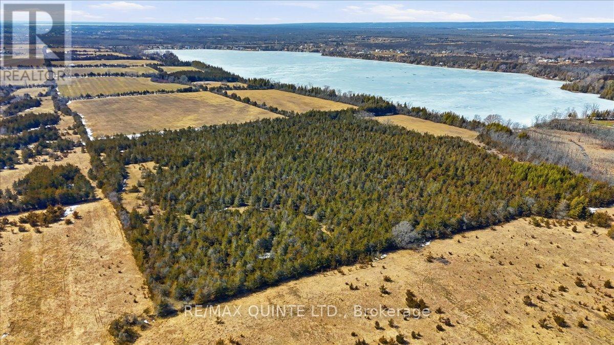 115 Gibson Road, Prince Edward County, Ontario  K0K 1A0 - Photo 9 - X13065658