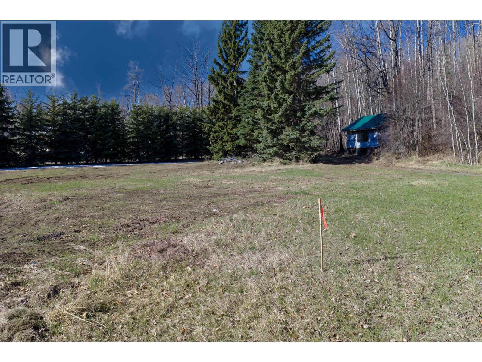 1238 Sweder Road, Fort St. James, British Columbia  V0J 1P0 - Photo 9 - R3117481