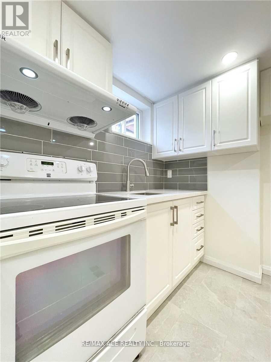 Lower - 246 Horsham Avenue, Toronto, Ontario  M2N 2A6 - Photo 4 - C13065618