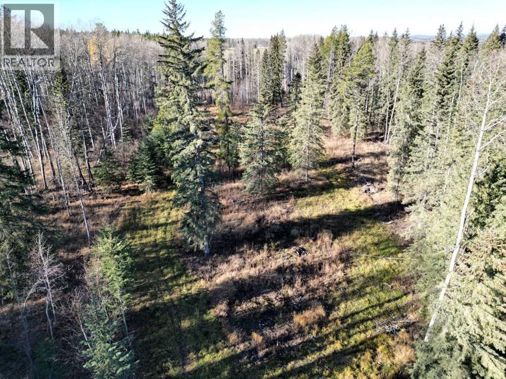 18, 53018 Range Road 175, Rural Yellowhead County, Alberta  T7E 1X3 - Photo 8 - A2284066