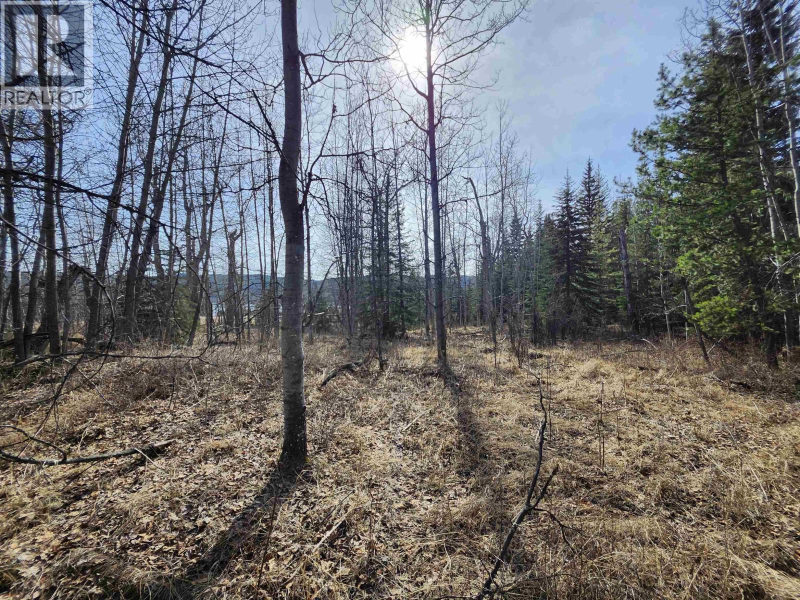 Lot 7 Binta Main Forest Service Road, Burns Lake, British Columbia  V0J 1E4 - Photo 17 - R3117927