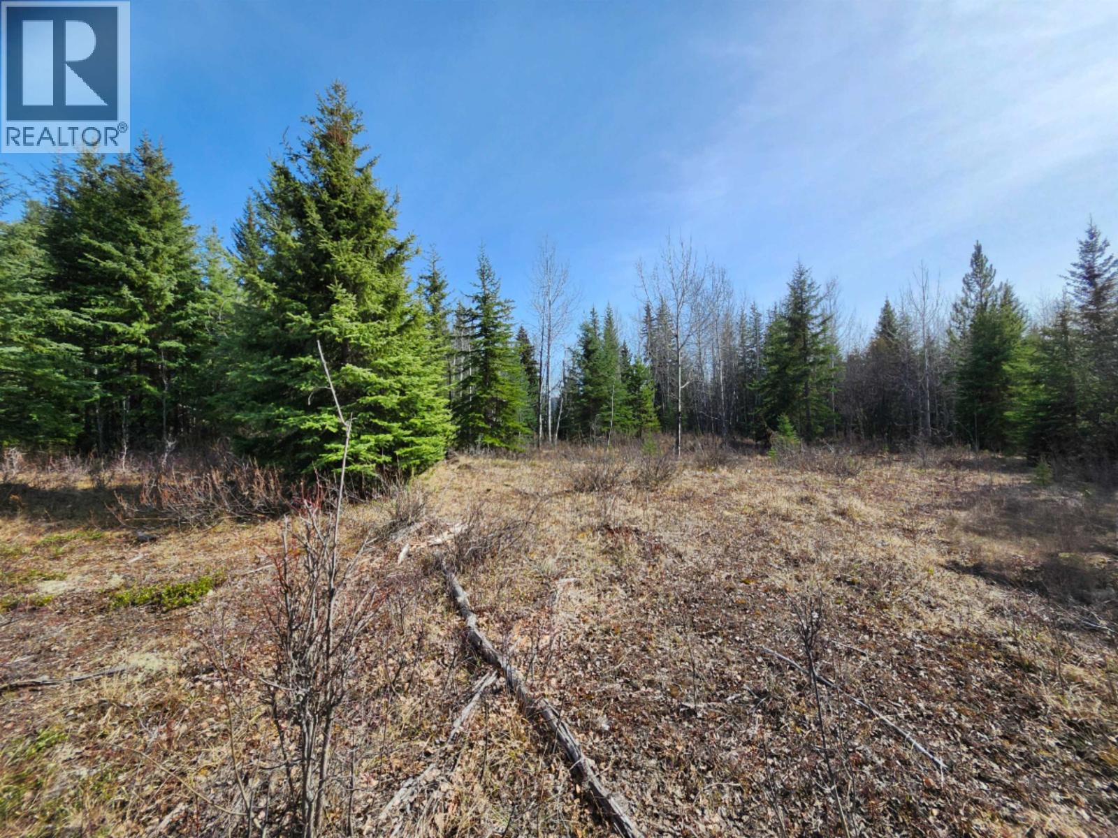 Lot 7 Binta Main Forest Service Road, Burns Lake, British Columbia  V0J 1E4 - Photo 14 - R3117927