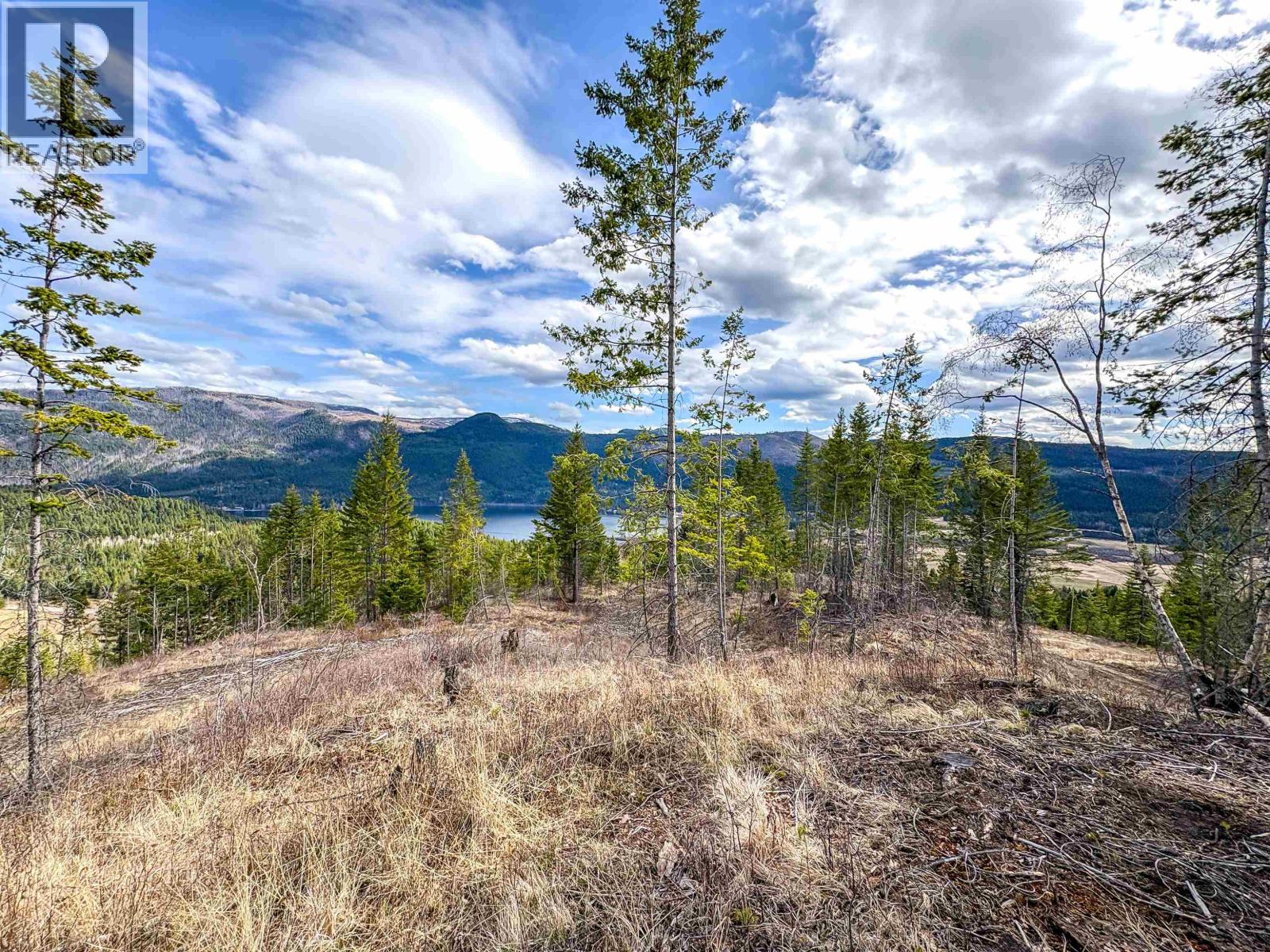 7213 Summit Drive, Canim Lake, British Columbia  V0K 1J0 - Photo 18 - R3104413