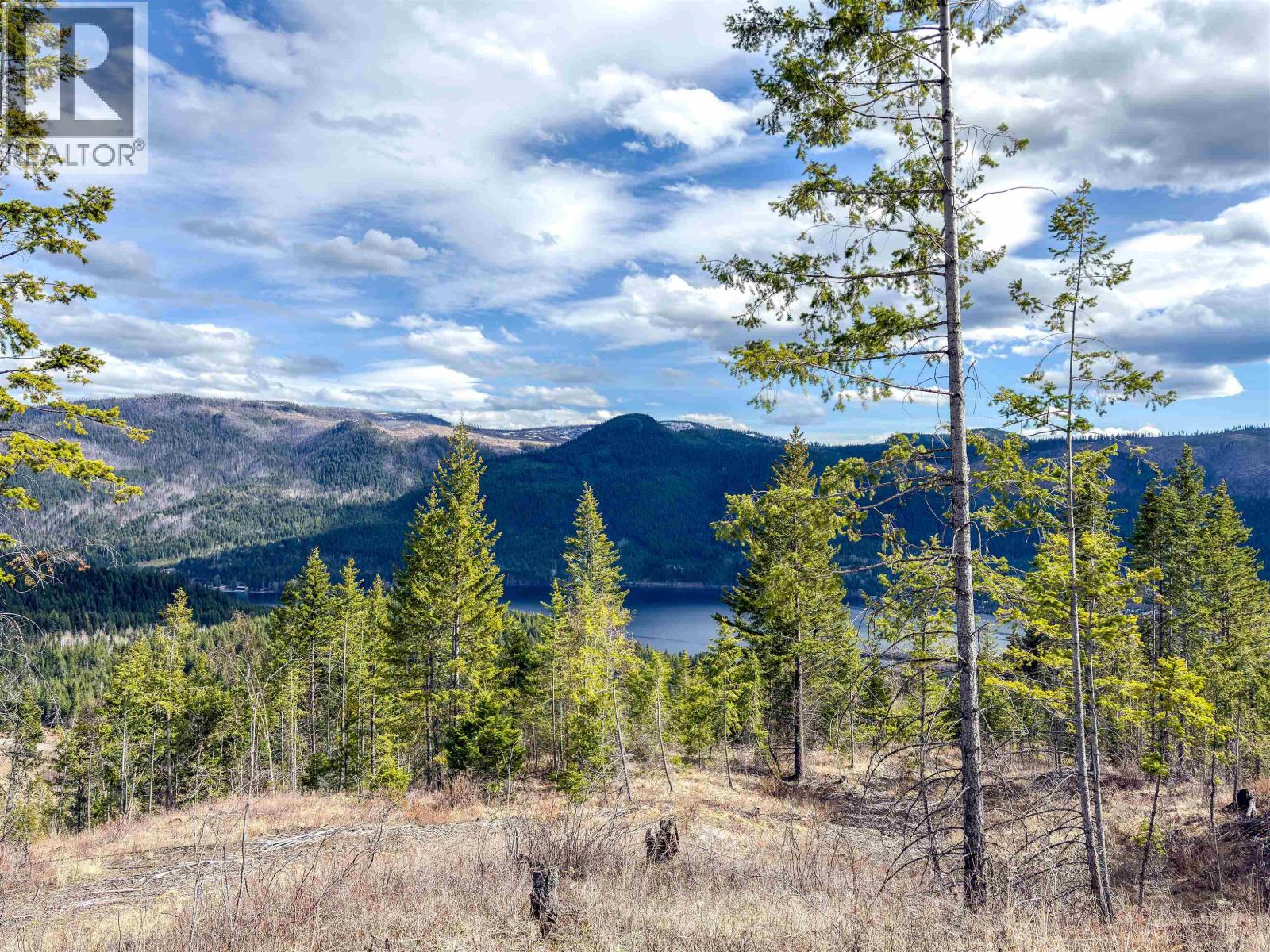 7213 Summit Drive, Canim Lake, British Columbia  V0K 1J0 - Photo 8 - R3104413