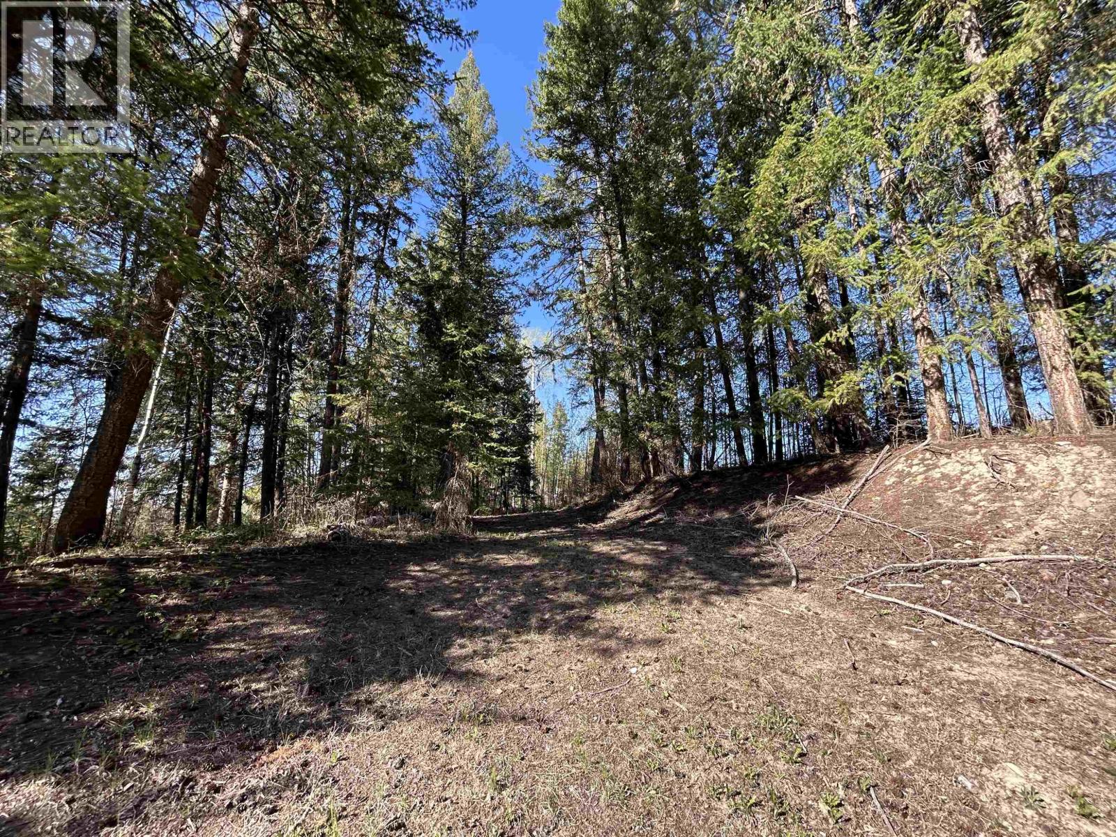 4793 S 97 Highway, Quesnel, British Columbia  V2J 6M8 - Photo 39 - R3094021
