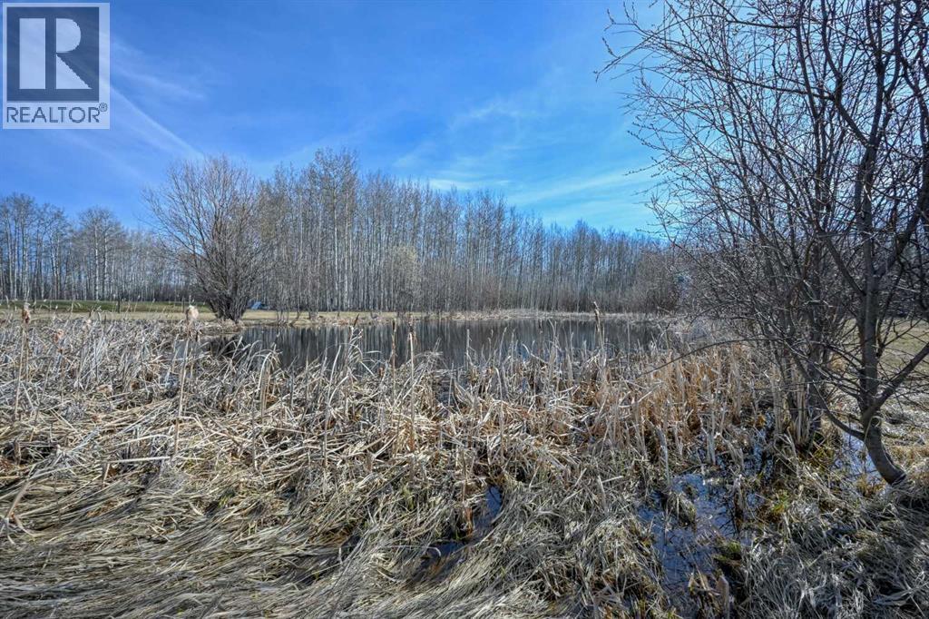 69565 Range Road 65, Grovedale, Alberta  T0H 1X0 - Photo 41 - A2292813