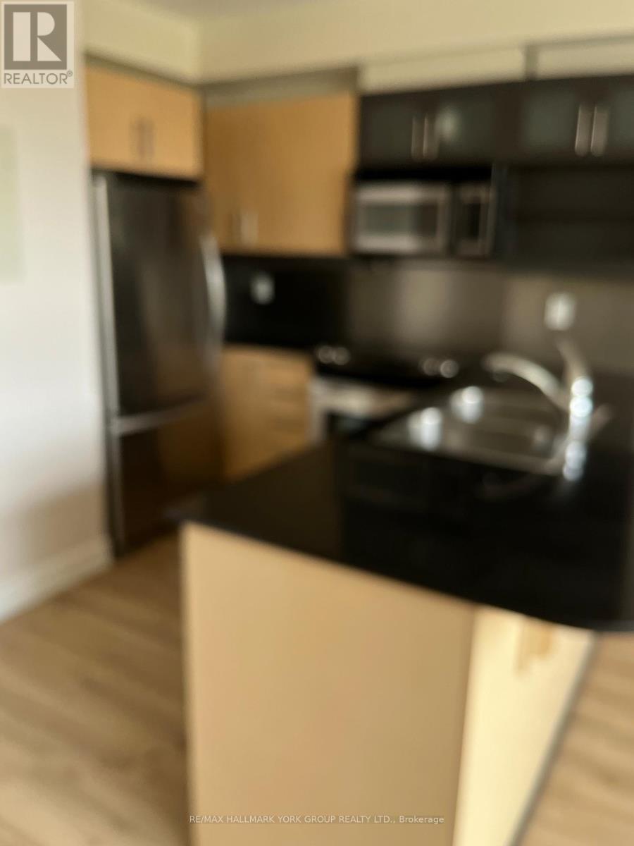 304 - 350 Wellington Street W, Toronto, Ontario  M5V 3W9 - Photo 10 - C13066124