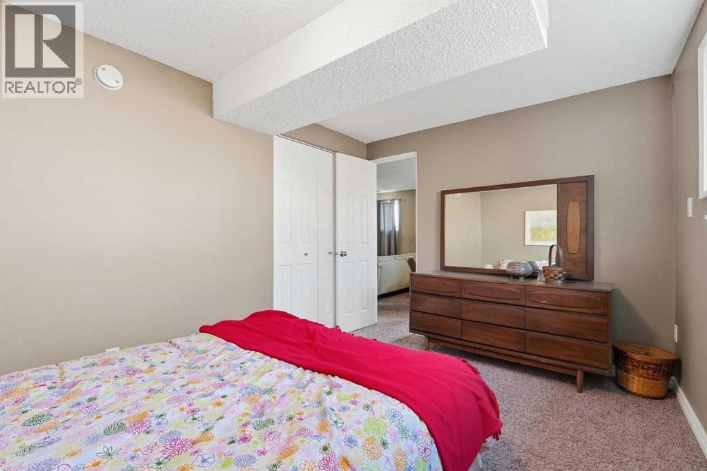 314 12 Avenue Sw, High River, Alberta  T1V 1A6 - Photo 24 - A2306474