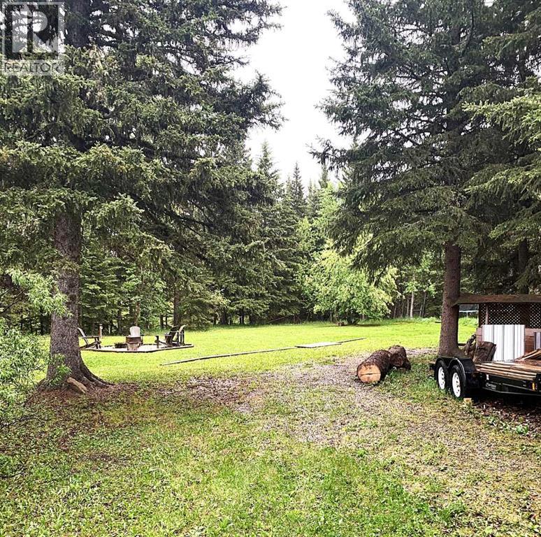 117 James River Landing, Rural Clearwater County, Alberta  T0M 1C0 - Photo 10 - A2299137