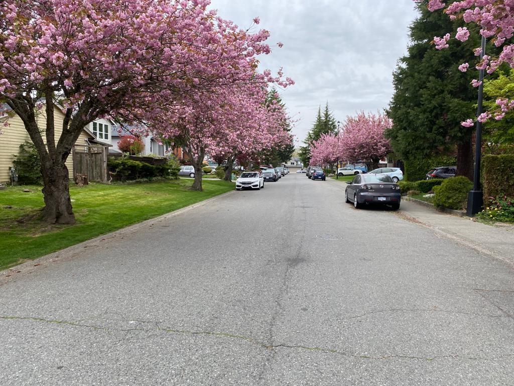 6578 130a Street, Surrey, British Columbia  V3W 8M5 - Photo 35 - R3114901