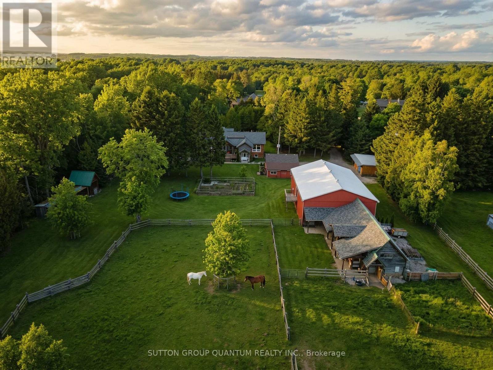 7171 9th Line, New Tecumseth, Ontario  L0G 1A0 - Photo 33 - N13066538