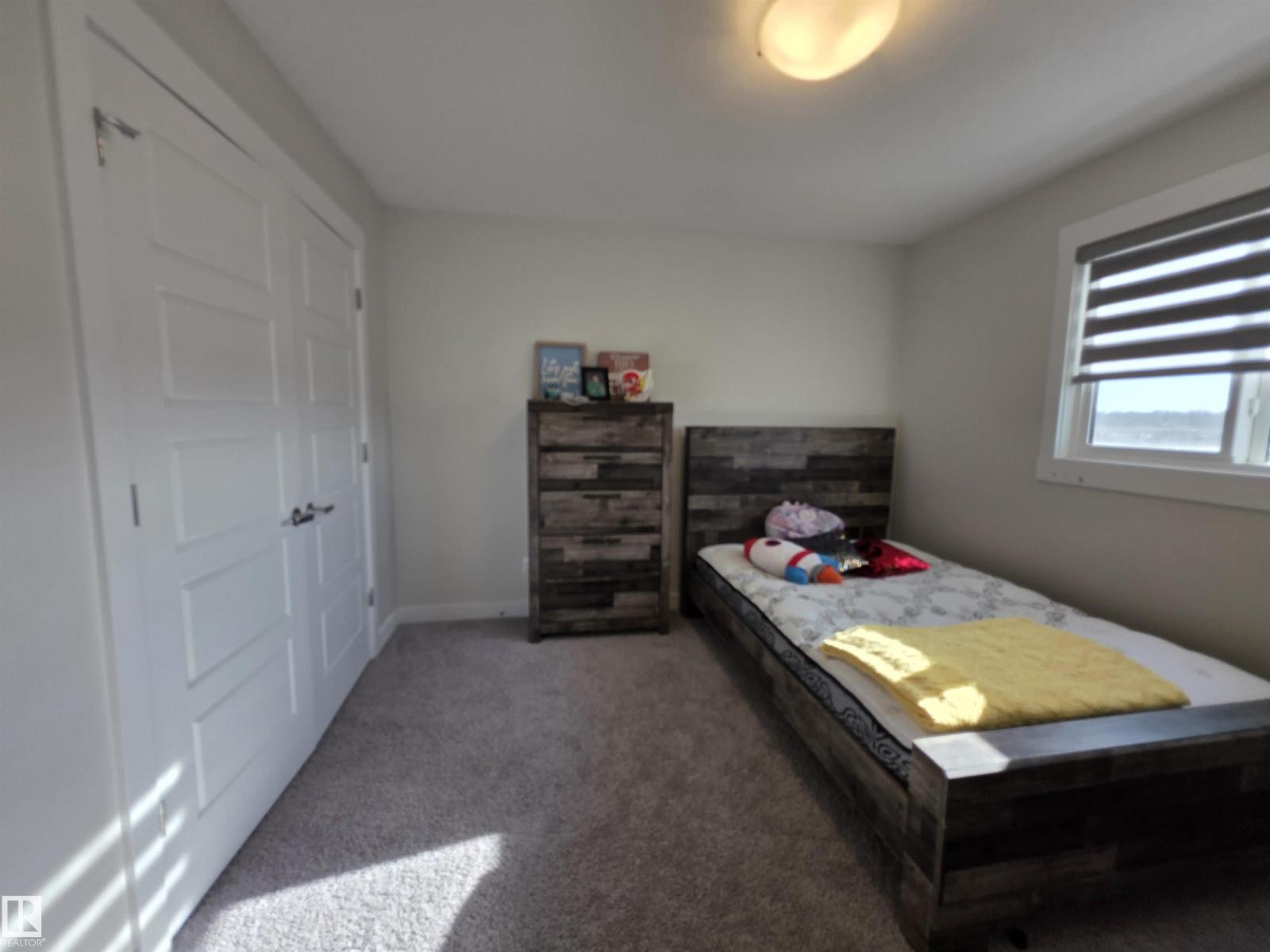 9952 227 St Nw, Edmonton, Alberta  T5T 7V1 - Photo 32 - E4485074