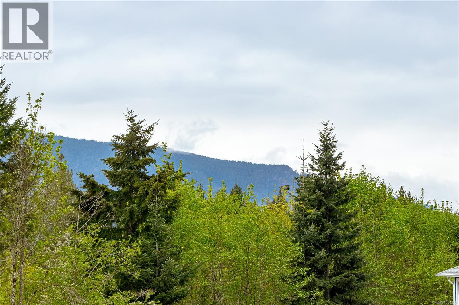 119 Beech Cres, Lake Cowichan, British Columbia  V0R 2G0 - Photo 47 - 1034222