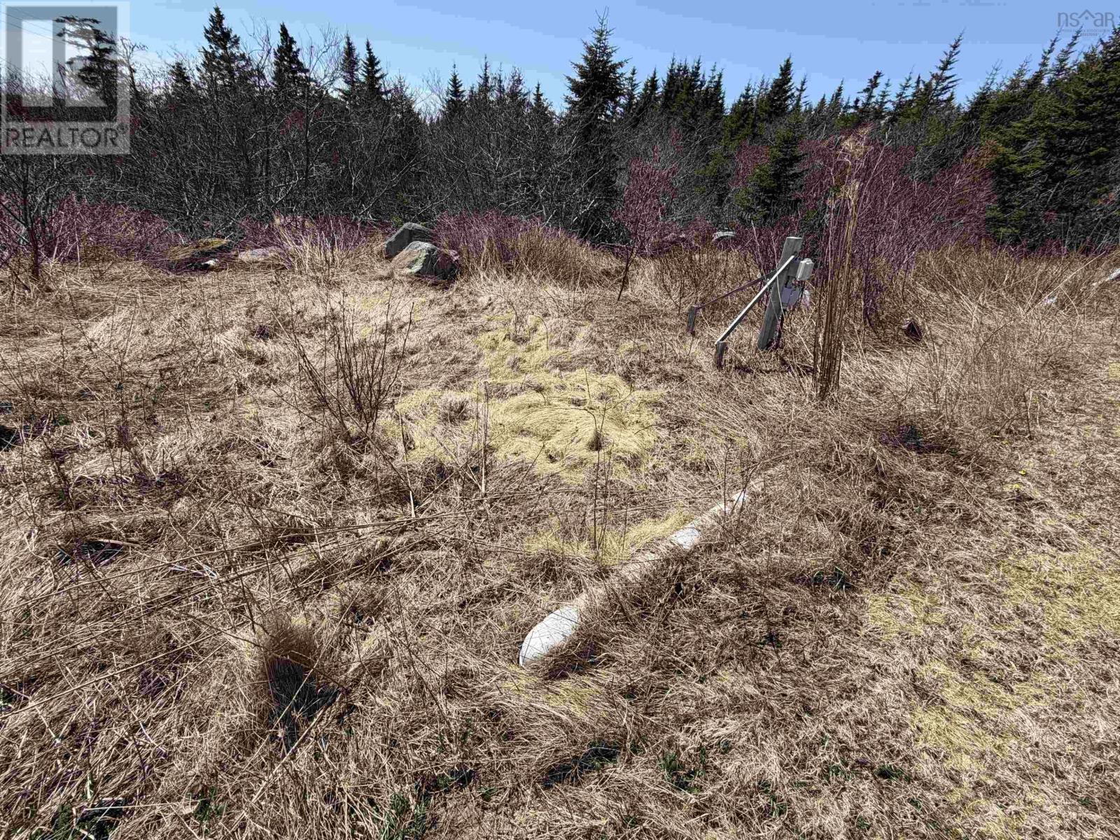 132 Port Bickerton Village Road, Port Bickerton, Nova Scotia  B0J 1A0 - Photo 6 - 202609216