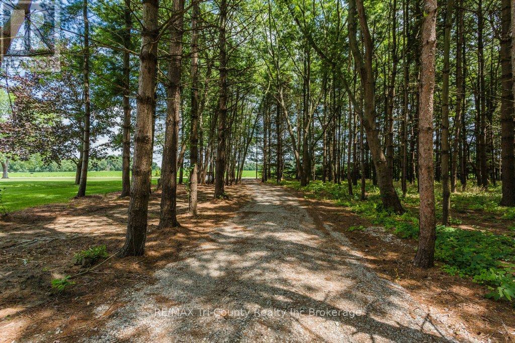 8987 Powers Road, Central Elgin, Ontario  N5P 3S7 - Photo 34 - X13066802