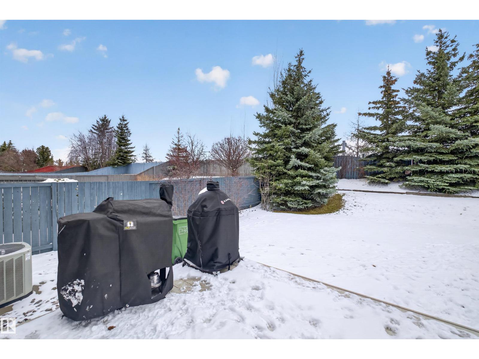 874 Ryan Pl Nw, Edmonton, Alberta  T6R 2N1 - Photo 31 - E4485088