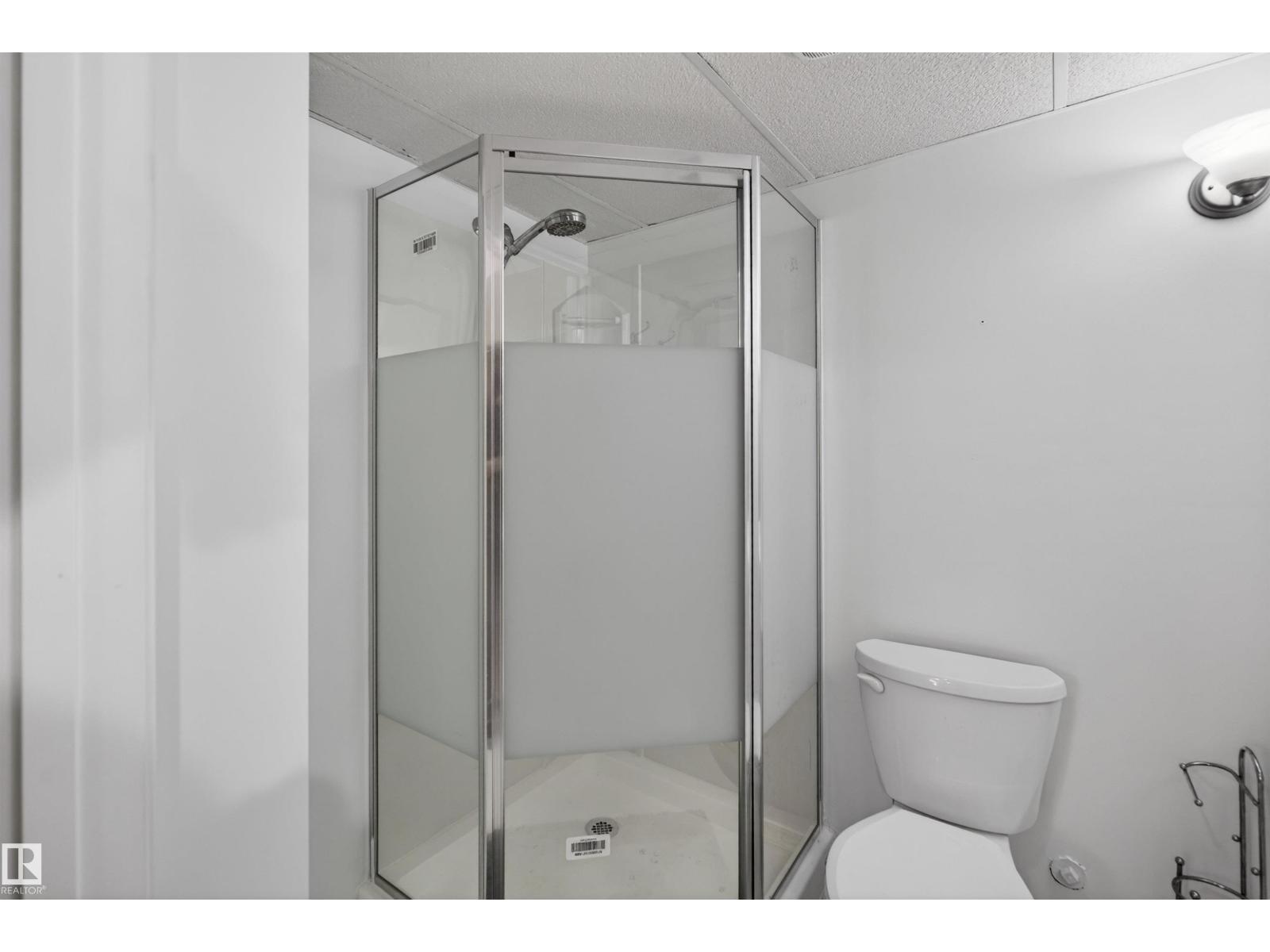 874 Ryan Pl Nw, Edmonton, Alberta  T6R 2N1 - Photo 69 - E4485088